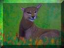 Cougar from Maggie's Gallery