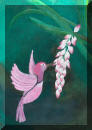 Sunbird at Shell Ginger Painting from Maggie's Gallery